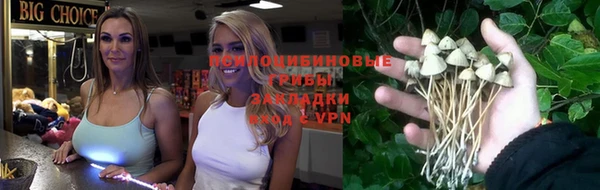 ПСИЛОЦИБИНОВЫЕ ГРИБЫ Вязьма