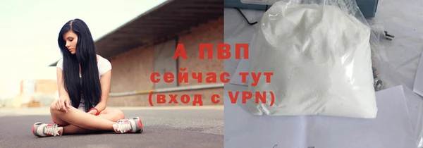 спайс Вяземский
