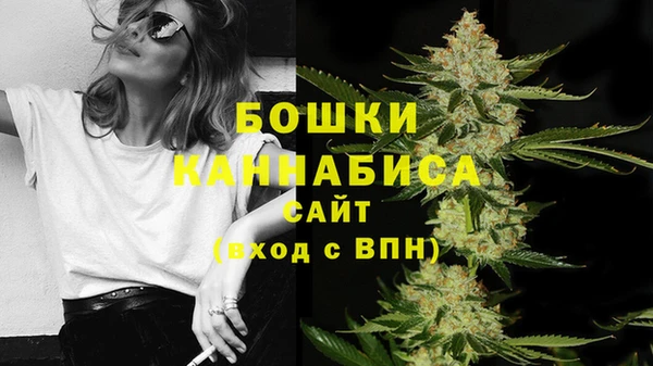 спайс Вяземский