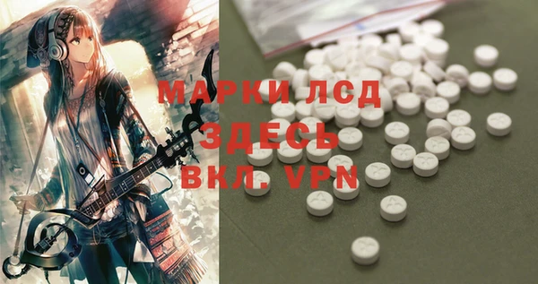 ПСИЛОЦИБИНОВЫЕ ГРИБЫ Вязьма