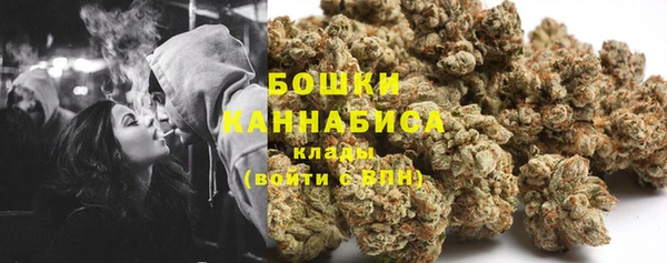 ПСИЛОЦИБИНОВЫЕ ГРИБЫ Вязьма