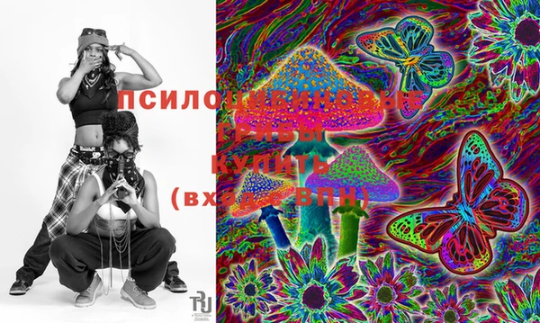 спайс Вяземский